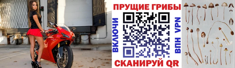 Псилоцибиновые грибы Magic Shrooms Можайск